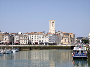 Désinsectisation dératisation La Rochelle